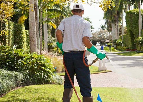 About Elmer City WA Pest Control Pros